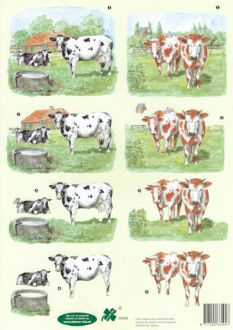 3D Bogen Kühe am Brunnen