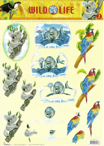 3D Bogen - Studiolight - Wild Life Nr.2