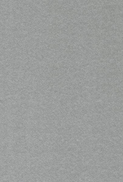 Sparkling Cardstock/Karton DIN A4 - Perlmutt platinfarben