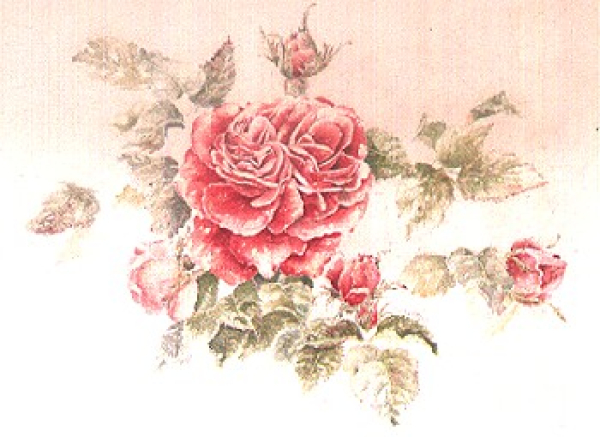 Austin Rose Light