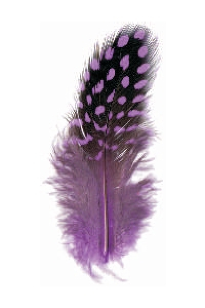 Perlhuhnfedern violett - ca. 24 Stück