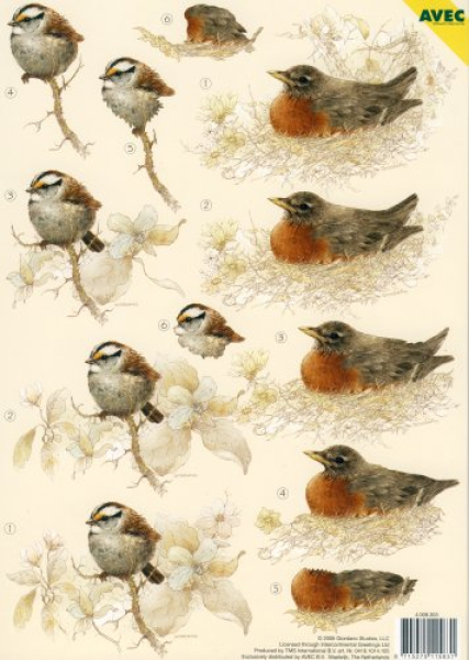 3-D Etappen-Bogen   Vögel   1 Bogen 21x29,7cm