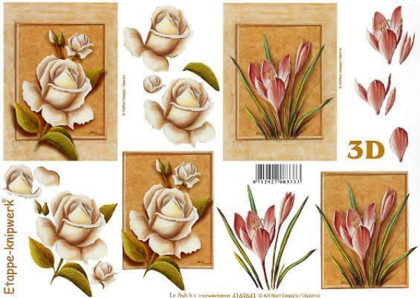 3D Bogen - A4 - Le Suh 4169641 - Rose + Krokus