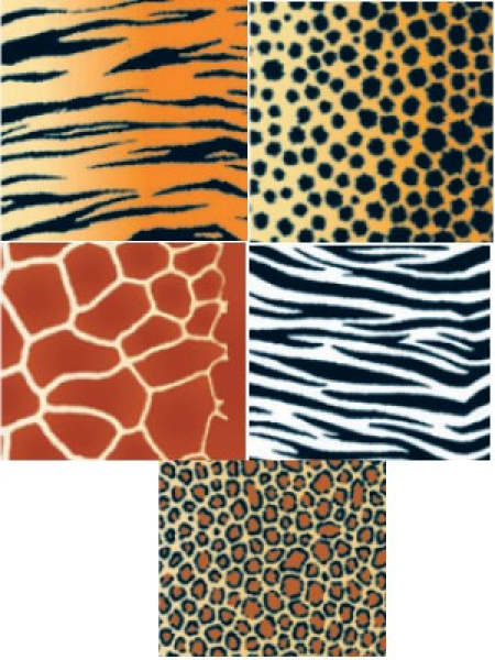 Bastelpackung "Heyda Life" - 5 verschiedene Bögen