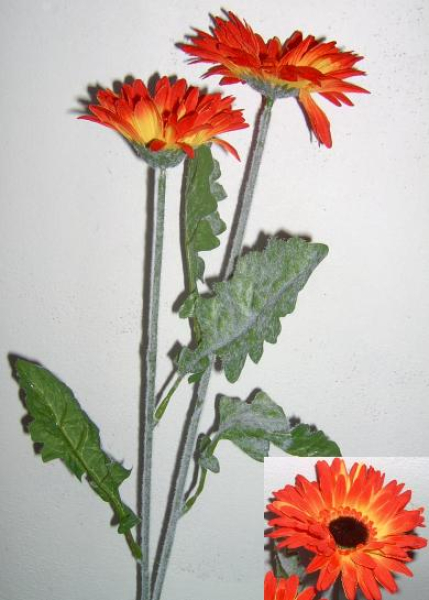 Gerbera rot-gelb br 2 Blüten Ø 8 + 11 cm br Länge 65 cm