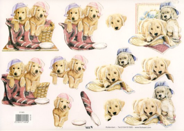 3D Bogen Glitter extra - TBZ 571805 - Hündchen