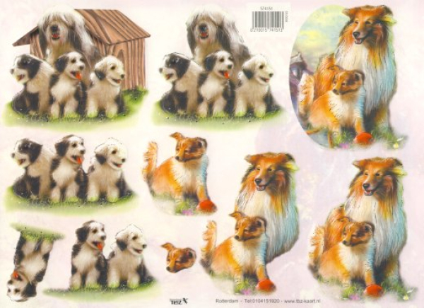 3D Bogen geprägt - TBZ 574151 - Hunde