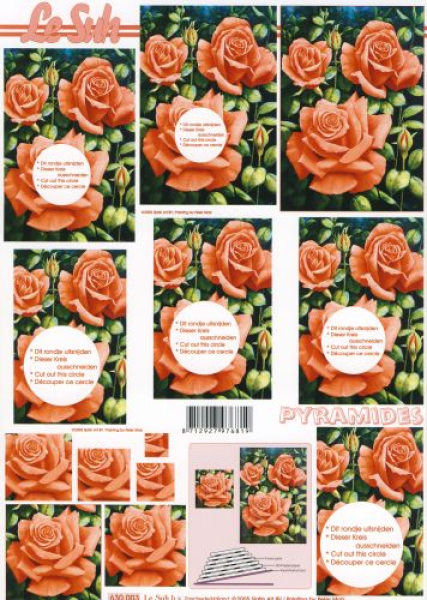 Pyramid 3D Bogen - A4Le Suh 630003Rosen