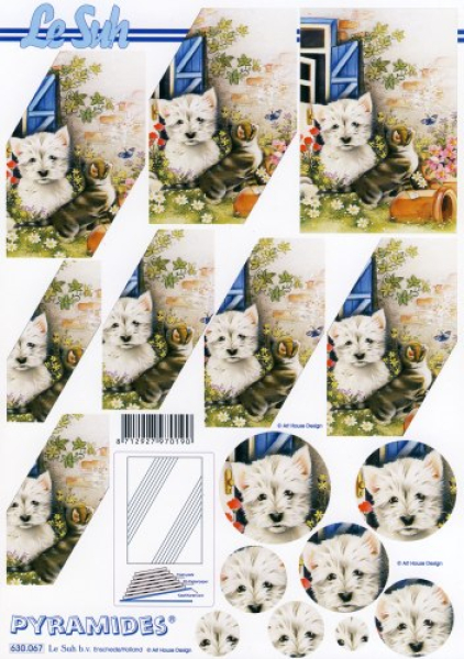 Pyramid 3D Bogen - A4Le Suh 630067Hund & Katze