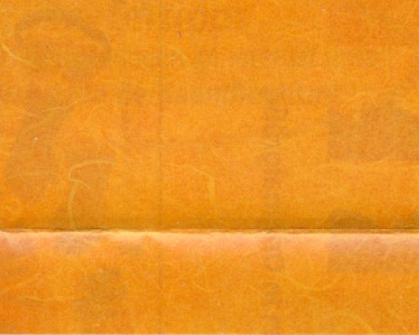 Strohseide/Naturfaserseide mango - Bogen 50 x 70 cm