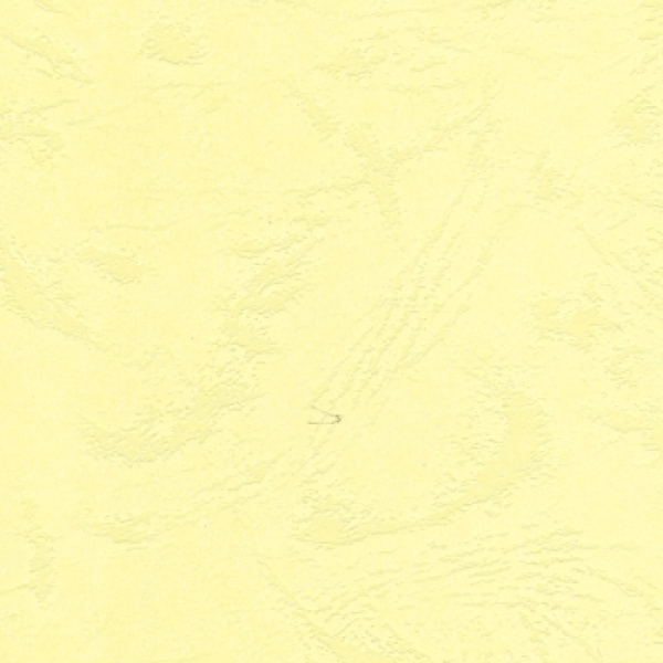 Prägekarton "Lederstruktur" A4 - hellgelb