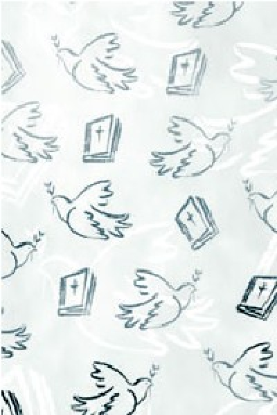 Bastelkarton "Spirit" - Tauben & Bibeln, silber