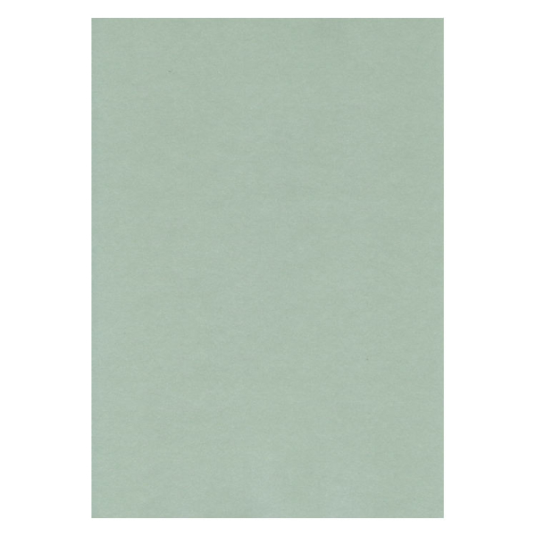 Perlmuttkarton salbei - DIN A4