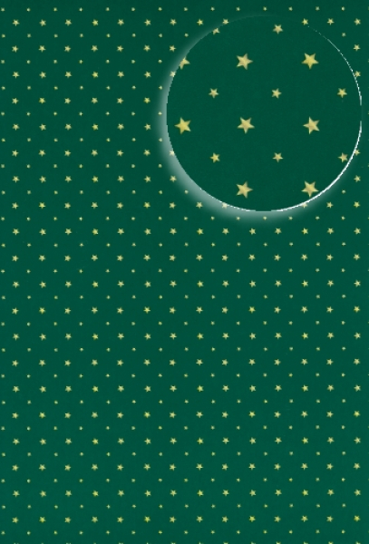 Bastelkarton Happy Papers "Winter" - Sterne grün