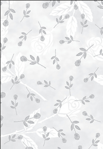 Transparentpapier