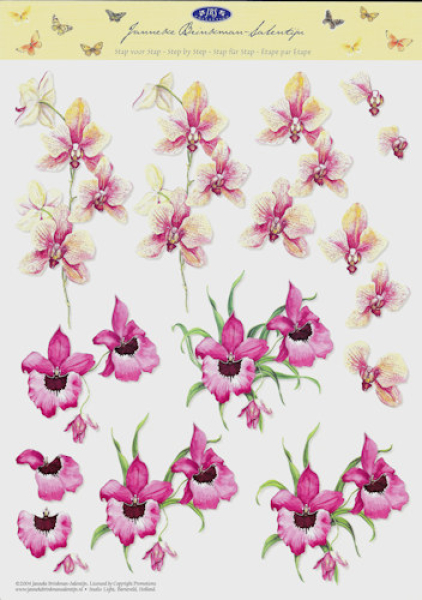 3D-Bogen - Janneke Brinkman Nr. 4 - Amaryllis