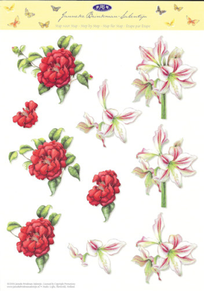 3D-Bogen - Janneke Brinkman Nr. 7 - Amaryllis und Pfingstrose