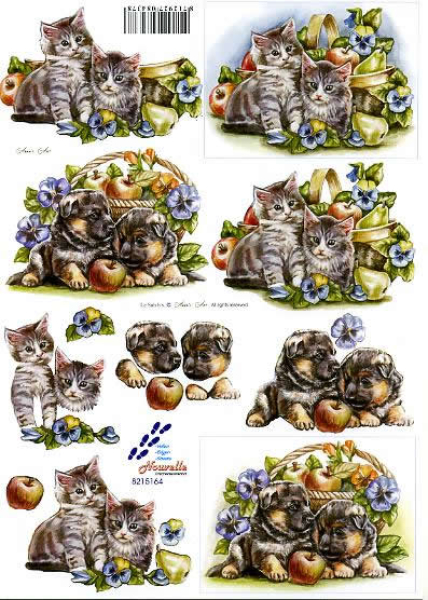 3D Bogen - Le Suh / Nouvelle 8215164 - Hund + Katze