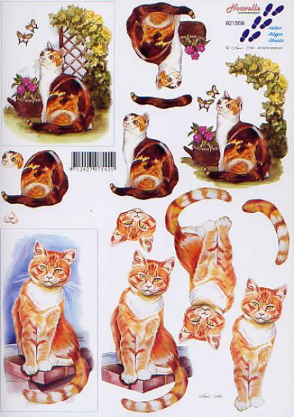 3D Bogen - Le Suh / Nouvelle 821558 - Katze