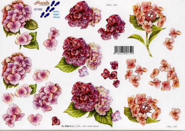 3D-Bogen - Le Suh/Nouvelle 821582 - Hortensien