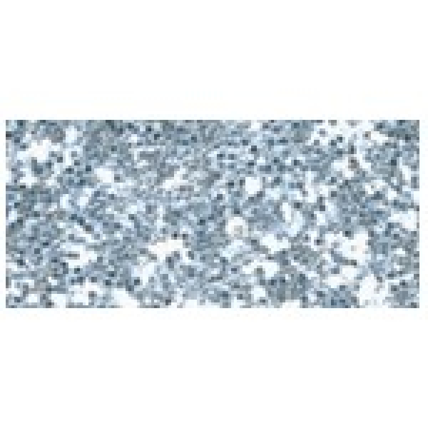Brillant Glitter/Polyester Glitter in Streudose - silber