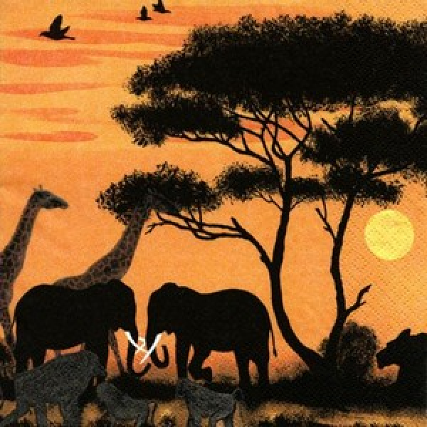 Serviette Okawango Park