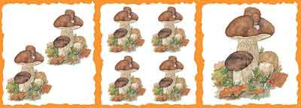 Decorpapier - Decor Vloei - Steinpilze mit Schnecke