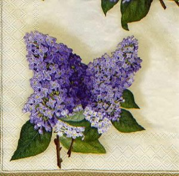 Serviette Lilac Still Life cream lilac
