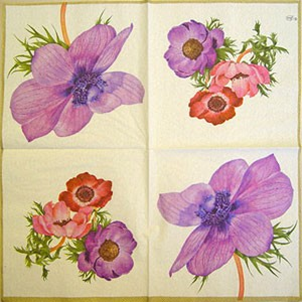Serviette Anemone creme