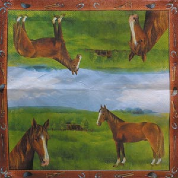 Serviette Champion rust