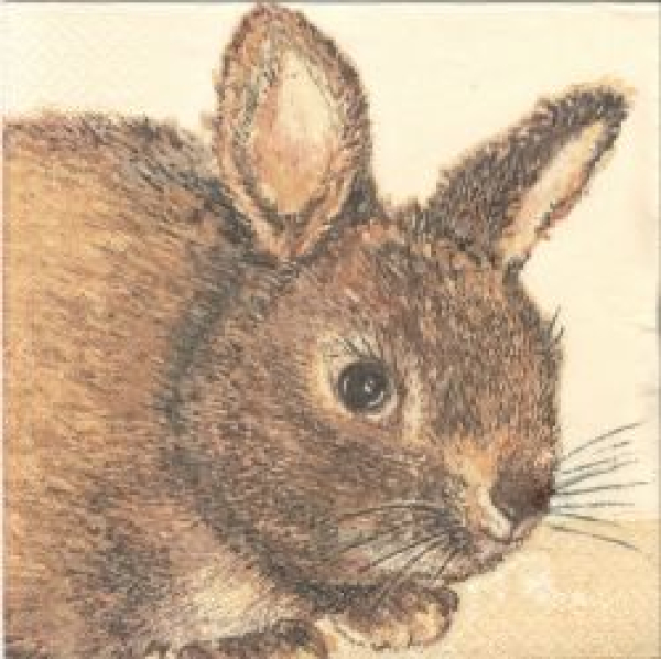 Serviette Hase