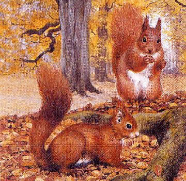 Serviette Two Squirrels