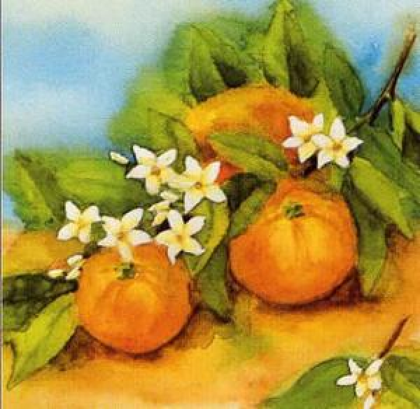 Servietten Tangerine