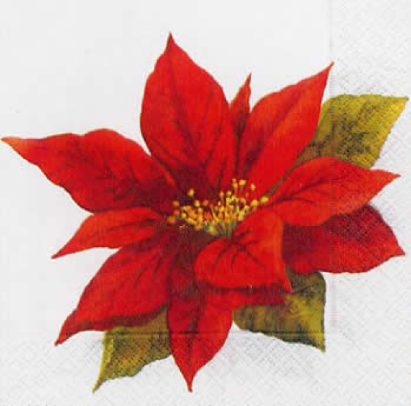 Servietten Feststern