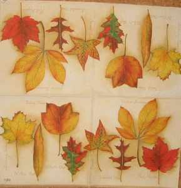 Servietten Autumn Leaves creme