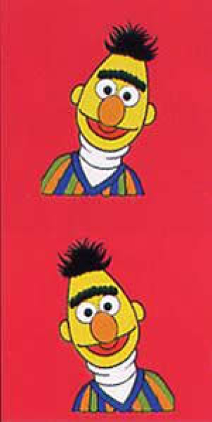 Taschentuch Bert   1 Stück - 4-lagig