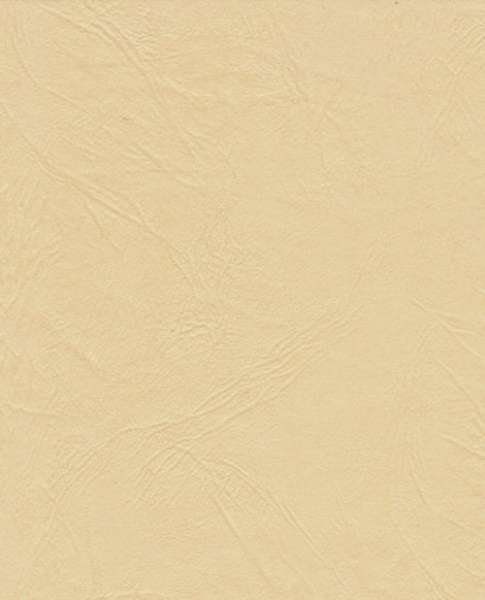 Prägekarton "Lederstruktur" A4 - chamois