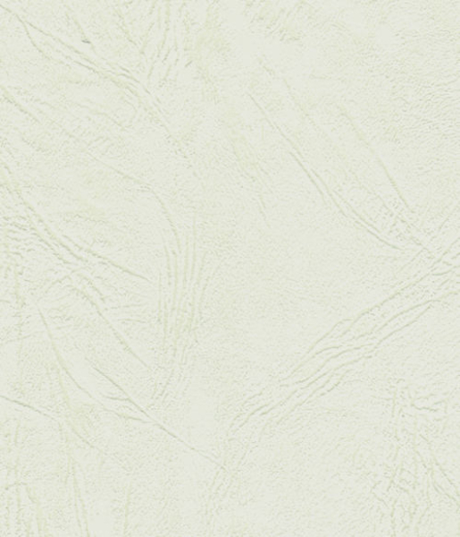 Prägekarton Lederstruktur DIN A4 - elfenbein