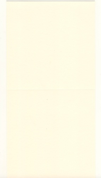 25 Quadratische Karten - Elfenbein