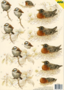 3-D Etappen-Bogen <br> Vögel <br> 1 Bogen 21x29,7cm