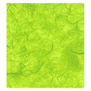 Strohseide/Naturfaserseide grün - Bogen 50 x 70 cm