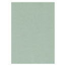 Perlmuttkarton salbei - DIN A4