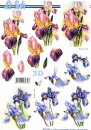 3D Bogen - Le Suh / Nouvelle 8215347 - Schwertlilien