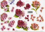 3D-Bogen - Le Suh/Nouvelle 821582 - Hortensien