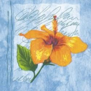 Serviette Hibiscus gletscher