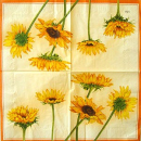 Serviette Sunshine orange