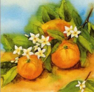 Servietten Tangerine
