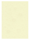 Crea-Relief-Karton Sterne - creme