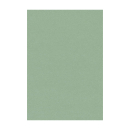 Perlmuttkarton lindgrün - DIN A4