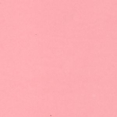 Tonkarton/Cardstock 12